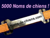 noms_de_chiens
